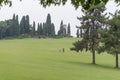 Park in italy green spring