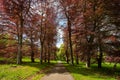 Park of Konopiste castle at springtime, Benesov, Czech republic Royalty Free Stock Photo