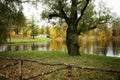 park lake autumn tree fence sky reflection leaves birds Royalty Free Stock Photo