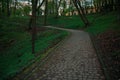 Park land rustic gray day scenic view with paved foot path way between trees on hill up road