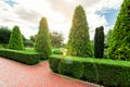 Park landscape design with footpaths and hedge.