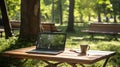 park laptop on wood Royalty Free Stock Photo