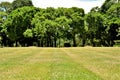 Park lawn mowing in sunny day Royalty Free Stock Photo