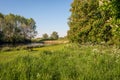 Park-like environment with a wooden bench on the waterfront Royalty Free Stock Photo