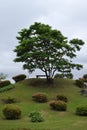 A park located in Tokyo Japan Royalty Free Stock Photo