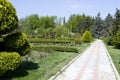 Park with a long road along the trees. Park with a long road along the trees. The curve the path of concrete tiles on a Sunny day. Royalty Free Stock Photo