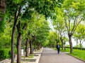 Park with lots of greenery in Burgas, Bulgaria