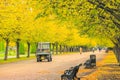 Park maintainer driving through a treelined avenue in Regent`s Park of London Royalty Free Stock Photo