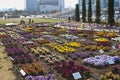 a park with many flowers