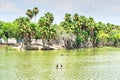 Park at Matamoros, Mexico