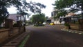 banyan tree in the middle of the road Royalty Free Stock Photo