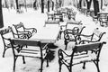 Park in the middle of the winter with snow on benches in black and white Royalty Free Stock Photo