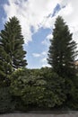 Park at monastery of Latroun in Israel Royalty Free Stock Photo