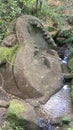 Park of the Monsters, Sacred Grove, Garden of Bomarzo. Whale and water