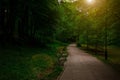 Park morning sun rise time walking quiet natural environment with woods benches and pathway solitude atmosphere Royalty Free Stock Photo