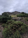 Mountaintop landscape in Edinburgh, Scotland, UK looking up at the bushes and craggy rock faces