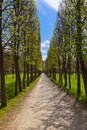 Park in Museum-Estate Arkhangelskoye - Moscow Russia Royalty Free Stock Photo