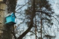 Central Park named after Belousov - a birdhouse.