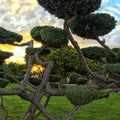 Park at NASA Ames Research Center Royalty Free Stock Photo