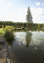 Park near Krylatskoye district in Moscow. Russia Royalty Free Stock Photo