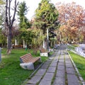 Park near lake - Arad city, Romania Royalty Free Stock Photo