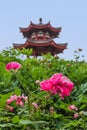 Park near Wild Goose Pagoda - Xian China Royalty Free Stock Photo