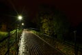 Park night lanterns lamps: a view of a alley walkway, pathway in a park with trees and dark sky as a background at an summer eveni Royalty Free Stock Photo