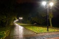 Park night lanterns lamps: a view of a alley walkway, pathway in a park with trees and dark sky as a background at an summer eveni Royalty Free Stock Photo