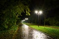 Park night lanterns lamps: a view of a alley walkway, pathway in a park with trees and dark sky as a background at an summer eveni Royalty Free Stock Photo