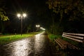 Park night lanterns lamps: a view of a alley walkway, pathway in a park with trees and dark sky as a background at an summer eveni Royalty Free Stock Photo