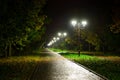 Park night lanterns lamps: a view of a alley walkway, pathway in a park with trees and dark sky as a background at an summer eveni