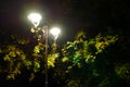 Park night lanterns lamps: a view of a alley walkway, pathway in a park with trees and dark sky as a background at an summer eveni Royalty Free Stock Photo