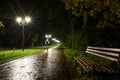 Park night lanterns lamps: a view of a alley walkway, pathway in a park with trees and dark sky as a background at an summer eveni Royalty Free Stock Photo