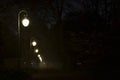 Park at night with shining street lamps Royalty Free Stock Photo