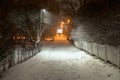 Park at night, Trees and road in the snow. In the distance silhouette of a couple walking people Royalty Free Stock Photo