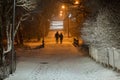 Park at night, Trees and road in the snow. In the distance silhouette of a couple walking people Royalty Free Stock Photo