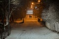 Park at night, Trees and road in the snow. In the distance silhouette of a couple walking people Royalty Free Stock Photo