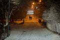 Park at night, Trees and road in the snow. In the distance silhouette of a couple walking people Royalty Free Stock Photo