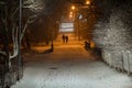 Park at night, Trees and road in the snow. In the distance silhouette of a couple walking people Royalty Free Stock Photo