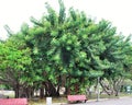 Park in the Old Town of San Juan, the Capital City of Puerto Rico Royalty Free Stock Photo