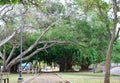 Park in the Old Town of San Juan, Puerto Rico Royalty Free Stock Photo