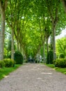 Park of Oloron Sainte Marie, france