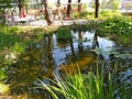 Ponds.Zaryadye Park. Moscow.