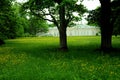 Park by Oranienbaum palace, Saint-Petersburg Royalty Free Stock Photo