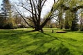 A park in Osnabrueck in spring