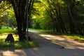 Park outdoor dramatic moody scenic view asphalt road walking oath way in autumn season sun rise morning time with rays of light