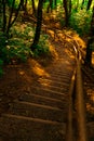 Park outdoor wooden stairs trail object in vertical photography soft focus