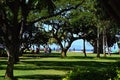 Park at Pacific Coast on the Island Oahu, Waikiki Beach, Honolulu, Hawaii Royalty Free Stock Photo