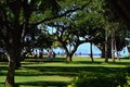 Park at Pacific Coast on the Island Oahu, Waikiki Beach, Honolulu, Hawaii