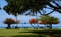 Park at the Pacific Coast on the Island Oahu, Waikiki Beach, Honolulu, Hawaii Royalty Free Stock Photo